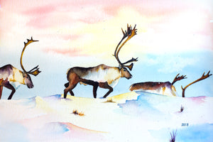 Caribou Crossing - Watercolor Fine Art Print